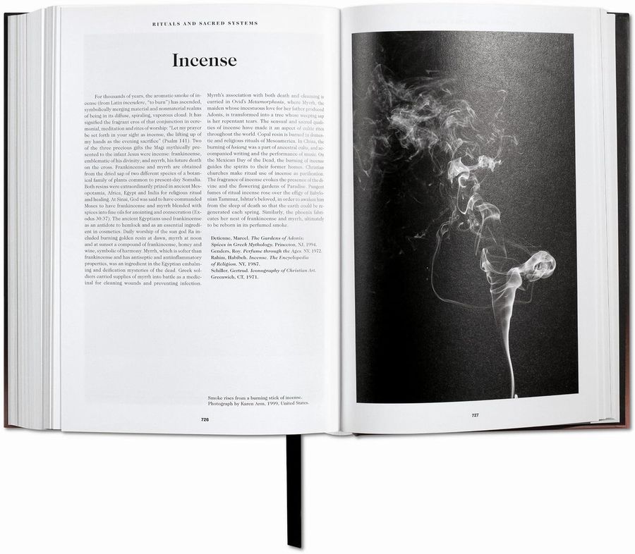 The Book of Symbols Reflections on Archetypal Images