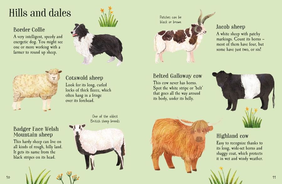 Usborne Minis Farm Animals to Spot