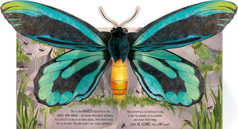 Usborne Pop-Up Butterflies