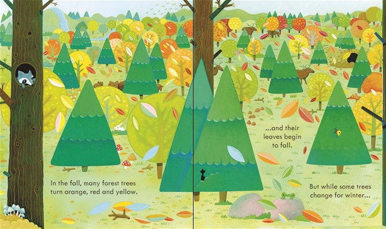 Usborne Peep Inside a Forest