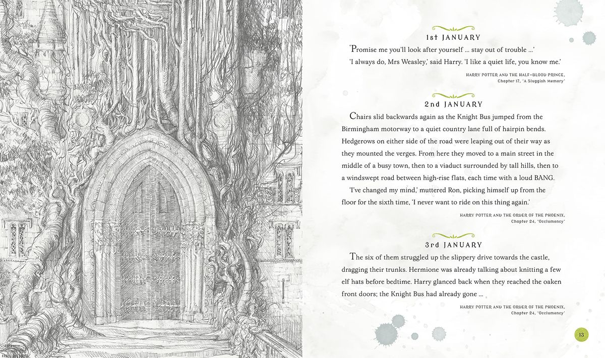 Harry Potter A Magical Year The Illustrations of Jim Kay