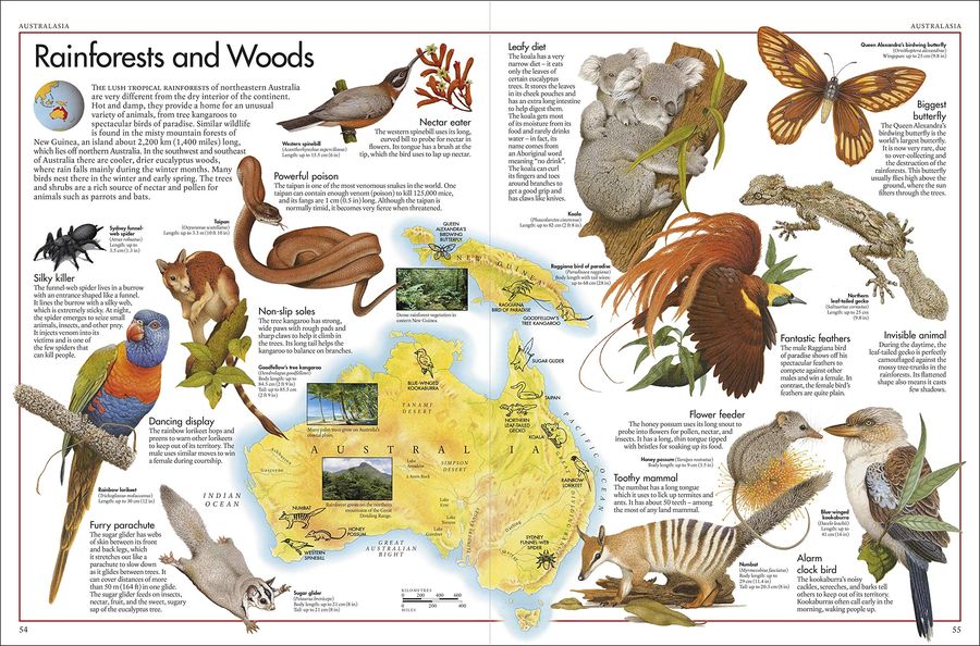 The Animal Atlas A Pictorial Guide to the World's Wildlife