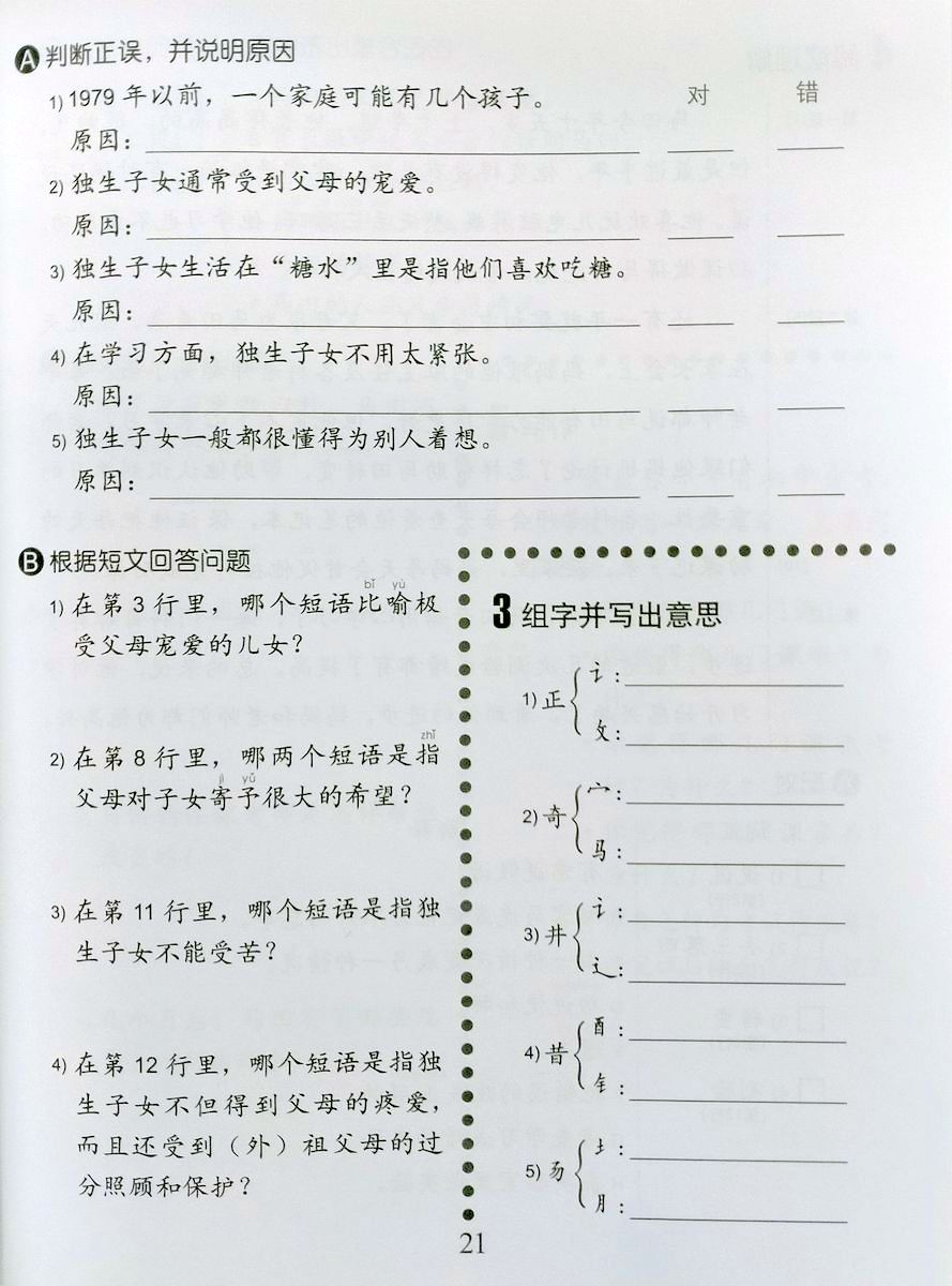 Easy Steps to Chinese vol.5 Workbook