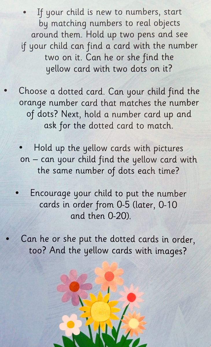 Ladybird Early Learning 123 Flash Cards