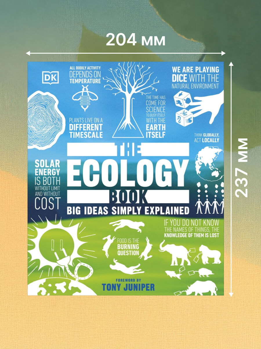 The Ecology Book Big Ideas Simply Explained Hardback