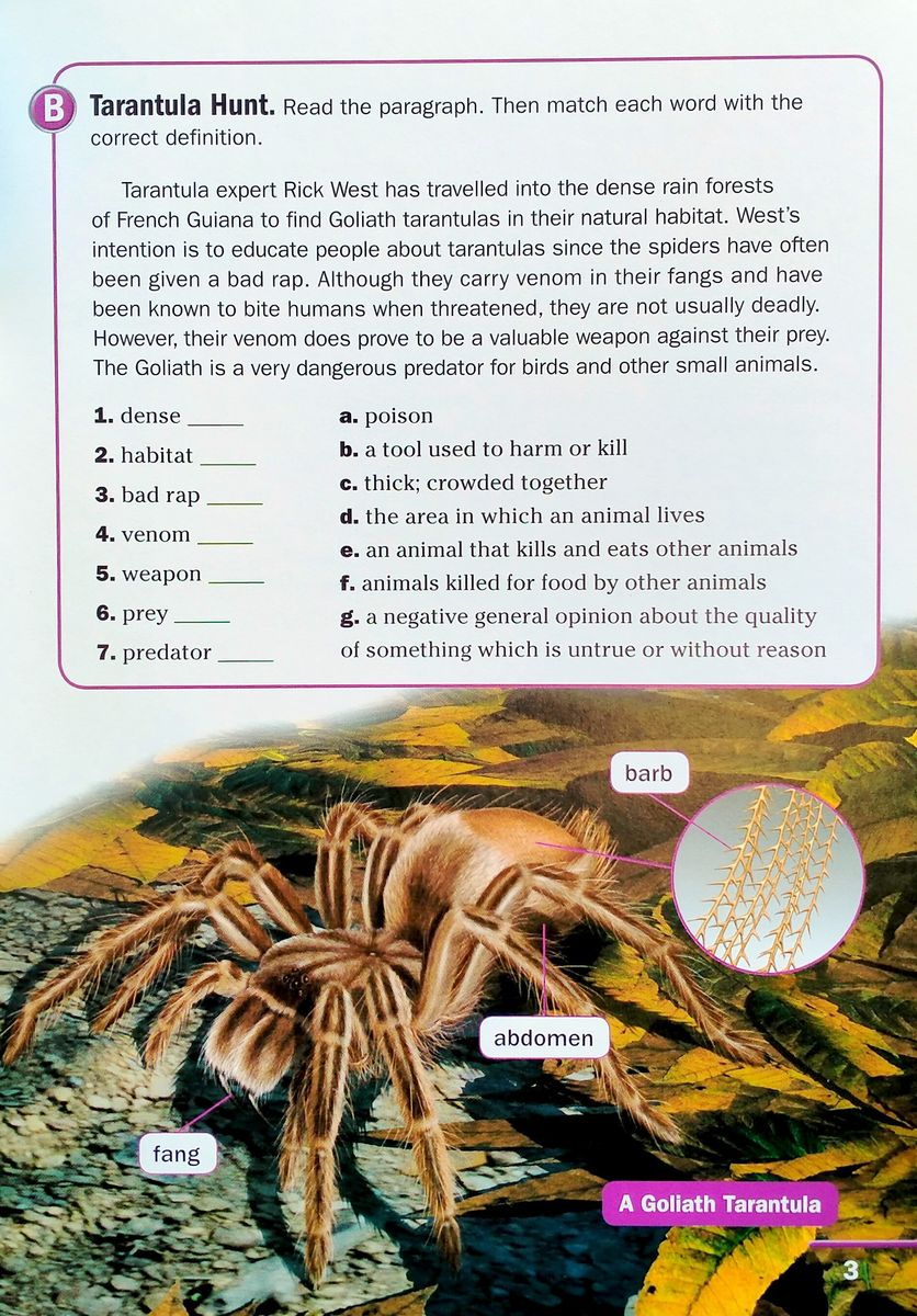 Footprint Reading Library 2600 Headwords The King of the Spiders (C1)