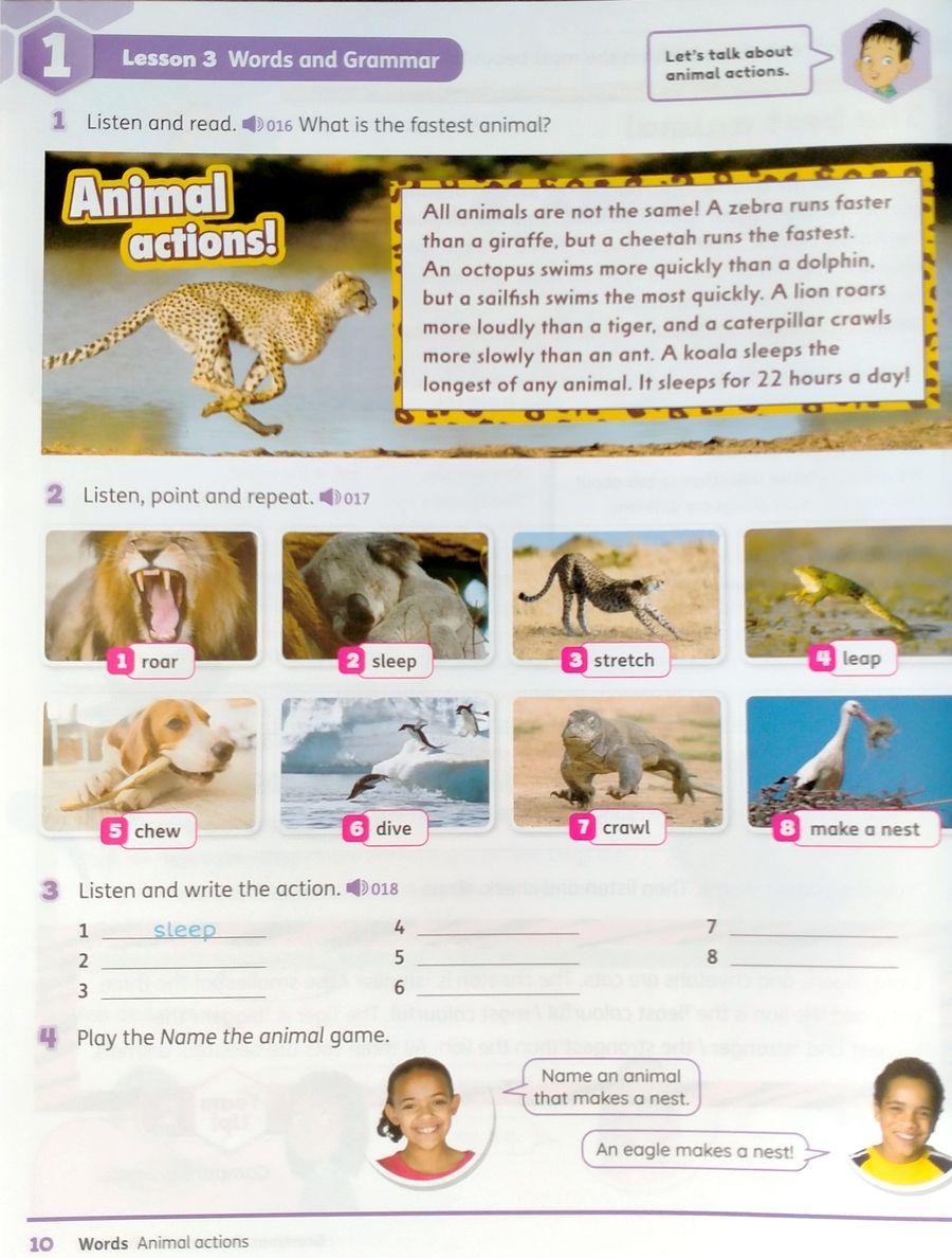 Beehive 4 Student Book with Digital Pack