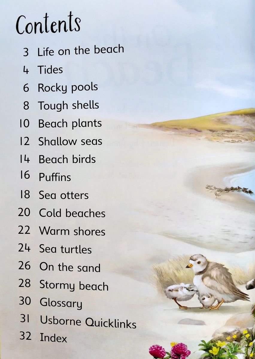 Usborne Beginners On the Beach