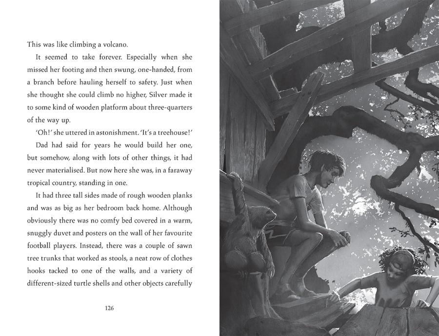 Turtle Moon Paperback