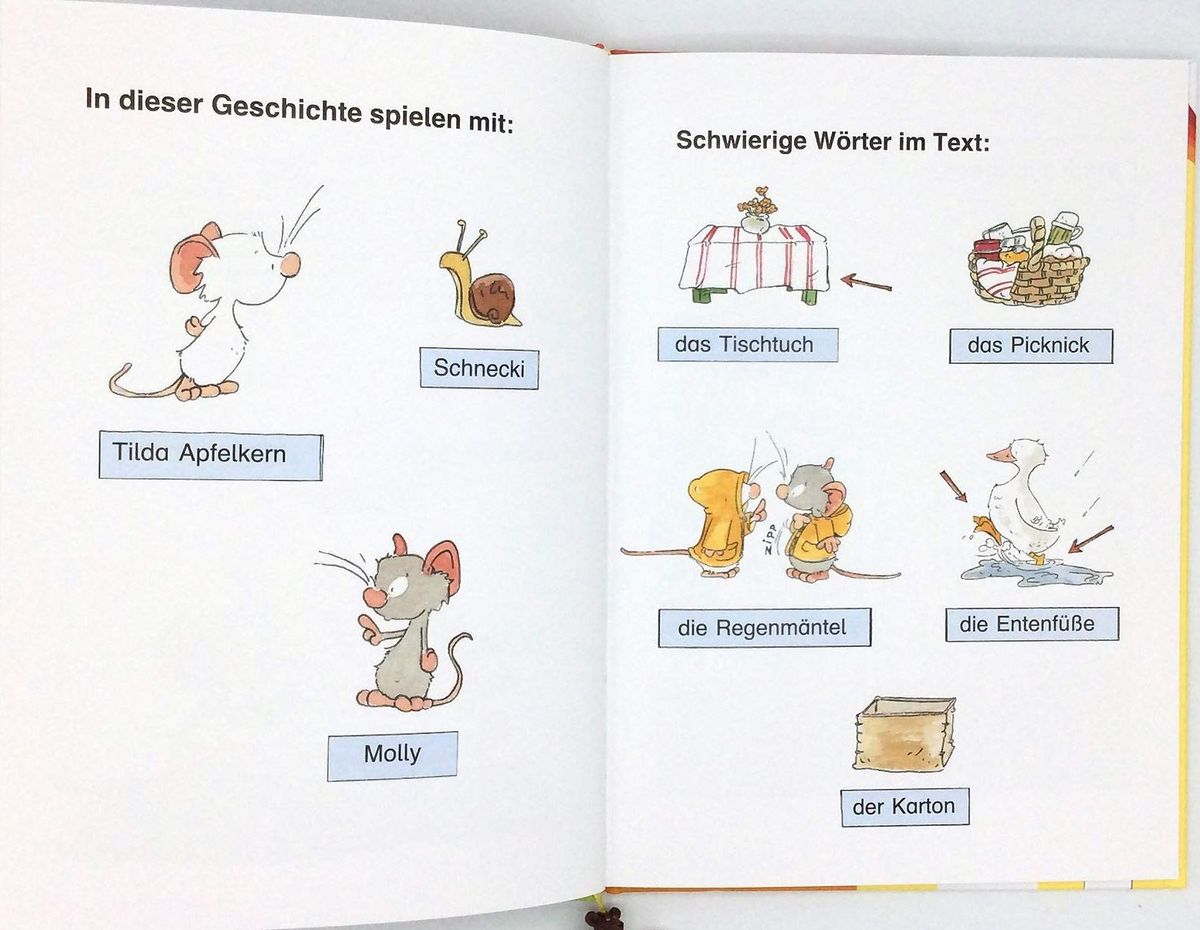 Der Bucherbar 1 Klasse Tilda Apfelkern Beste Freunde und ein Regenbogen-Picknick