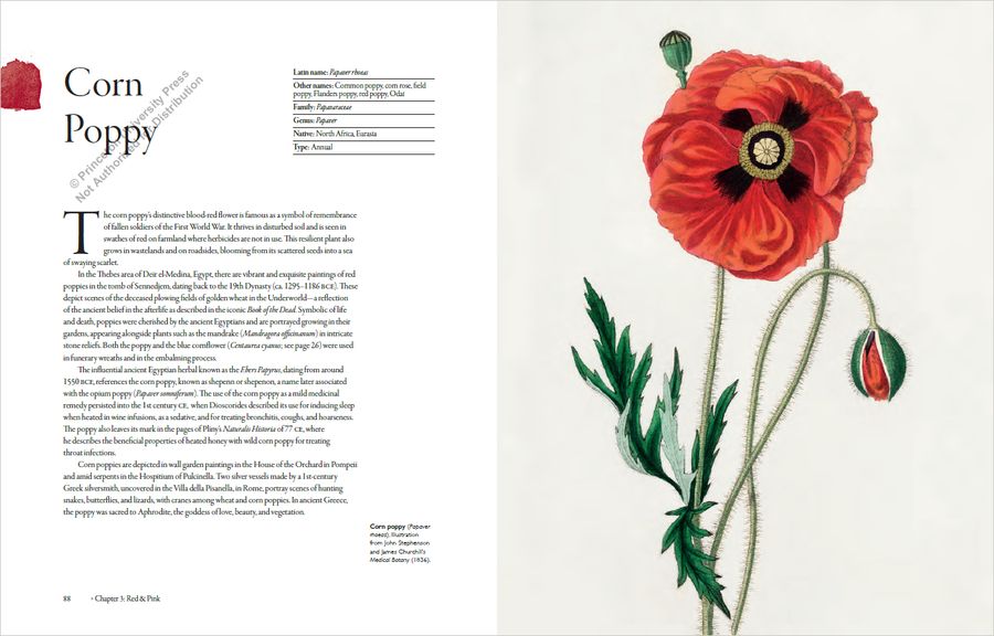 Gold from Newton's Apple Tree: Historical Recipes for Natural Inks, Paints, and Dyes