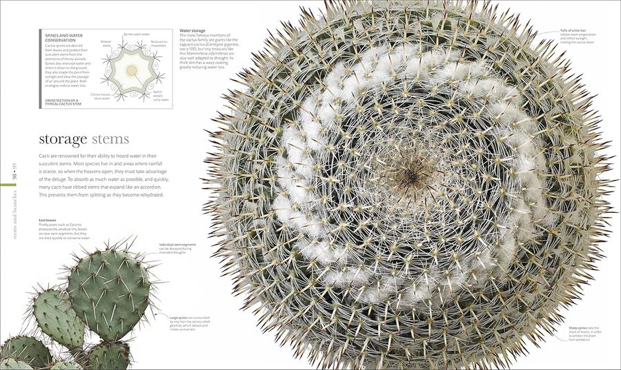 The Science of Plants Inside their Secret World