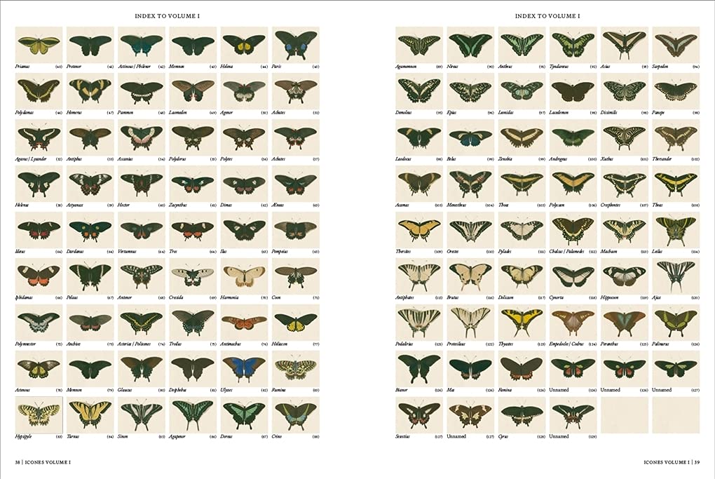 Iconotypes A compendium of butterflies and moths. Jones's Icones Complete