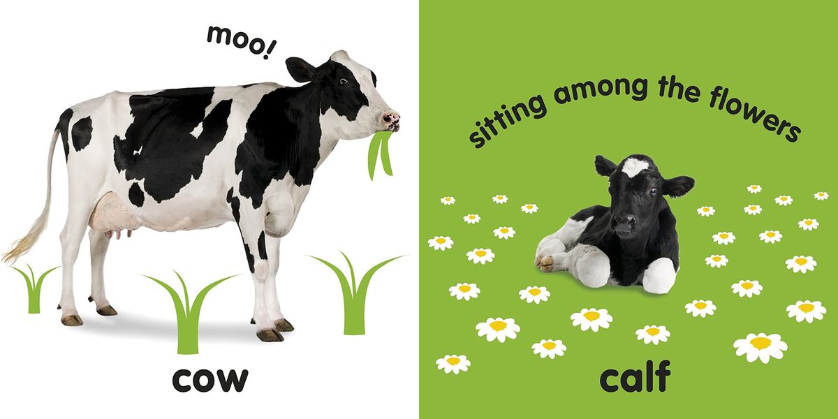 Baby Touch and Feel Farm Animals