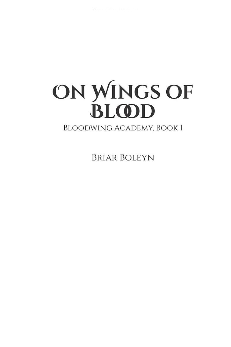 On Wings Of Blood 1 Hardback
