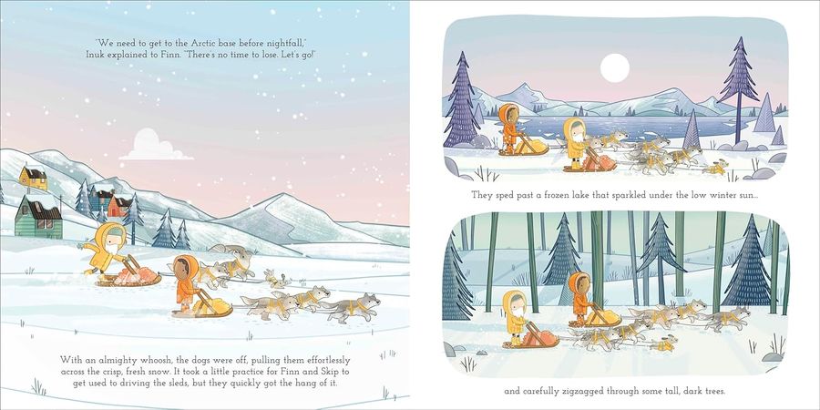 Adventures with Finn and Skip Arctic