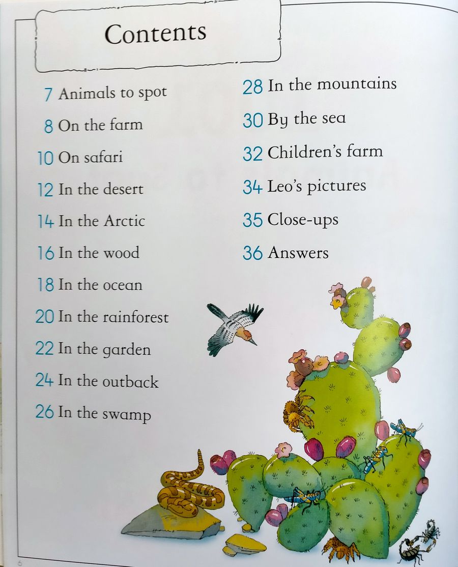The Usborne Big Book of Things to Spot