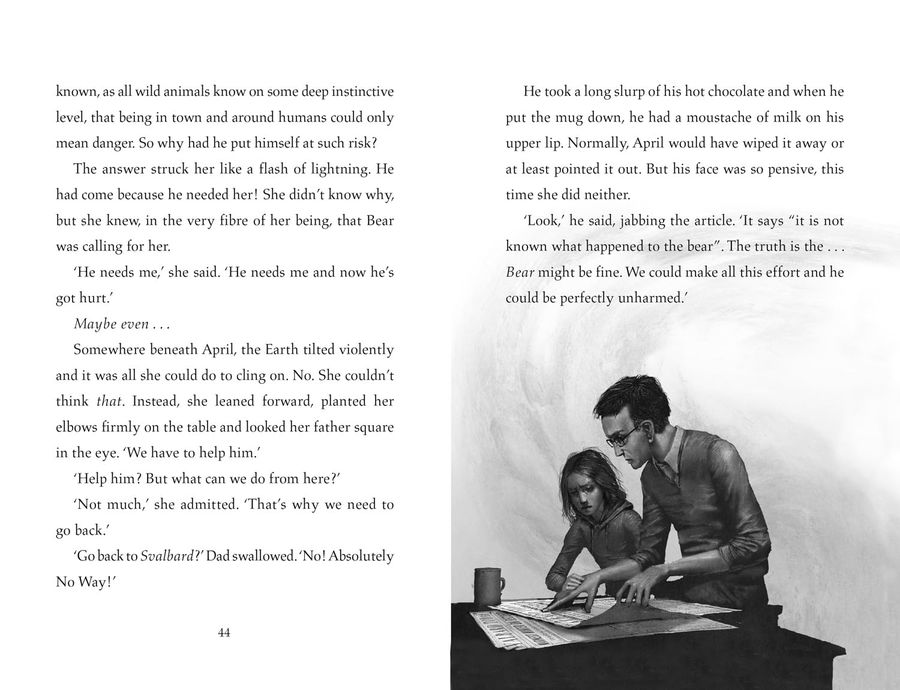 Finding Bear Paperback