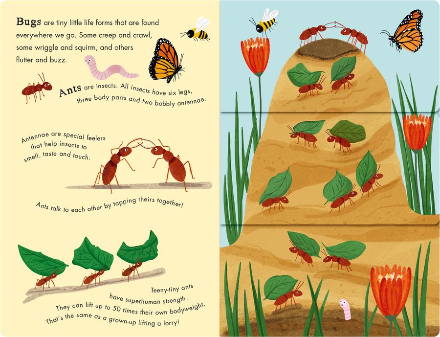Bees & Beetles A Flip-Flap Book of Bugs