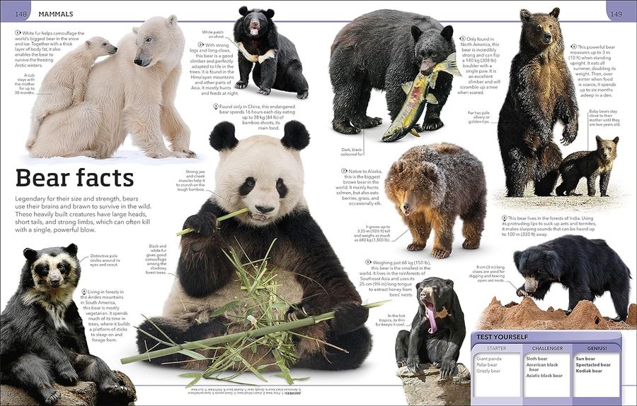 Animal Knowledge Genius A Quiz Encyclopedia to Boost Your Brain