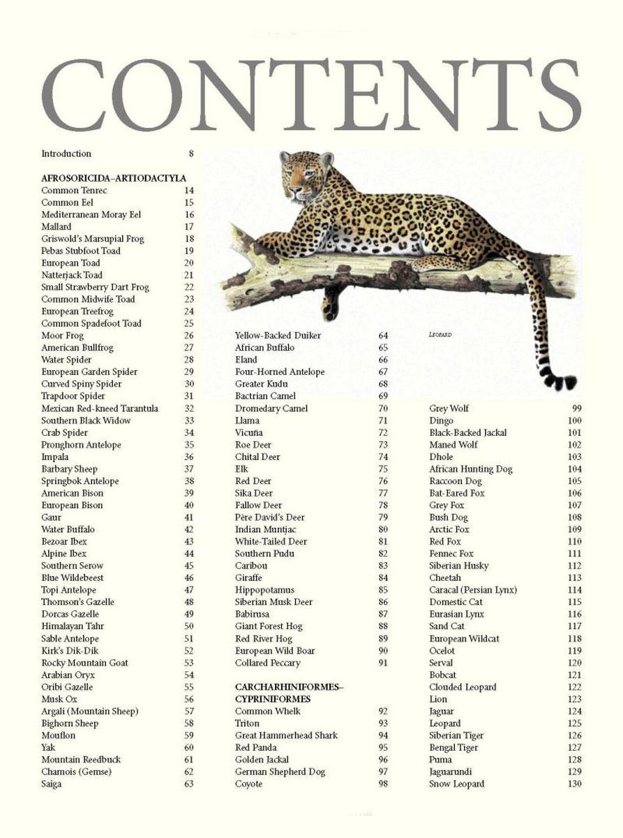 Encyclopedia of Animals