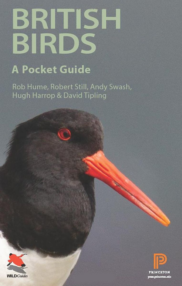 British Birds A Pocket Guide