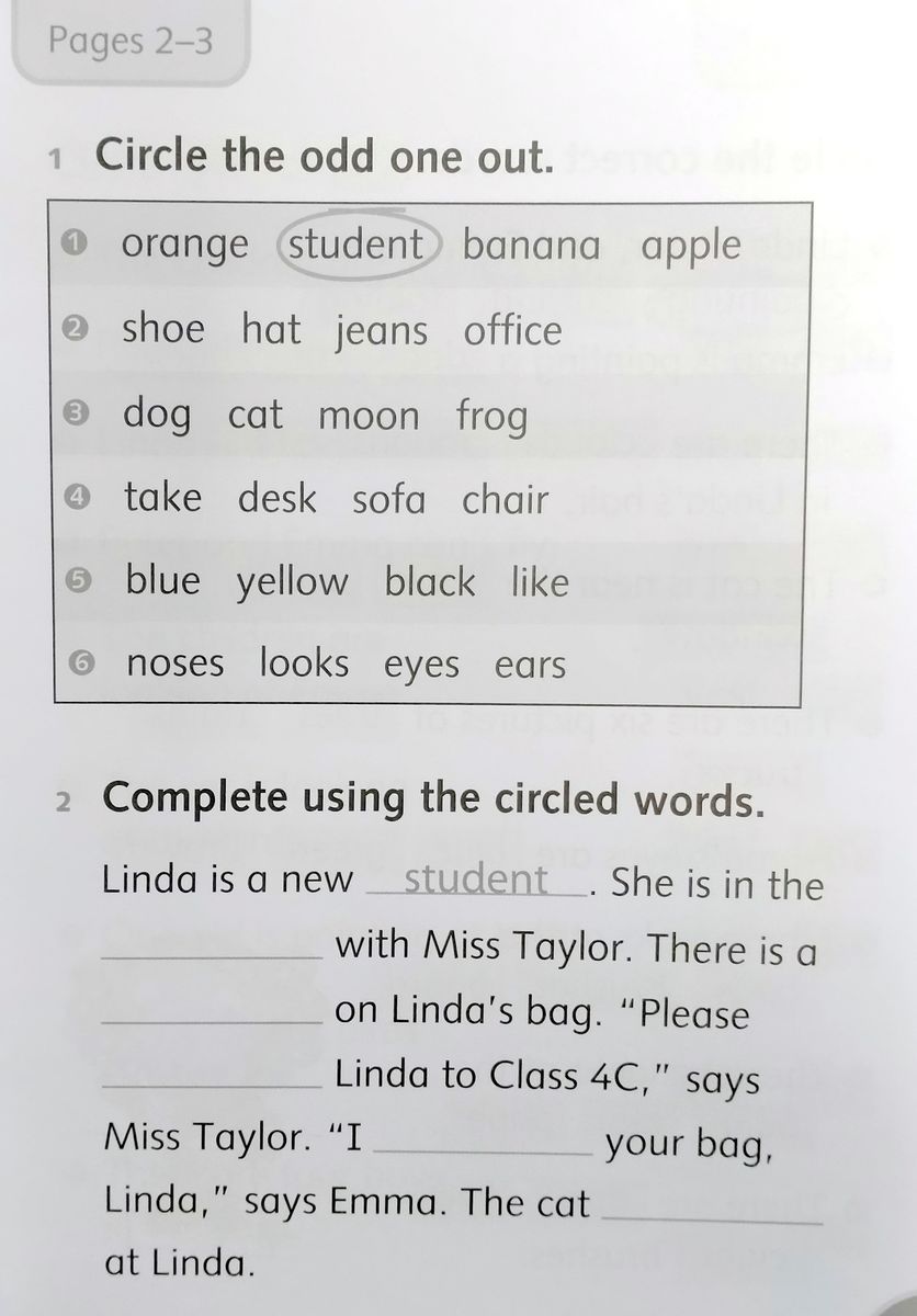 Dolphin Readers 3 New Girl in School Activity Book