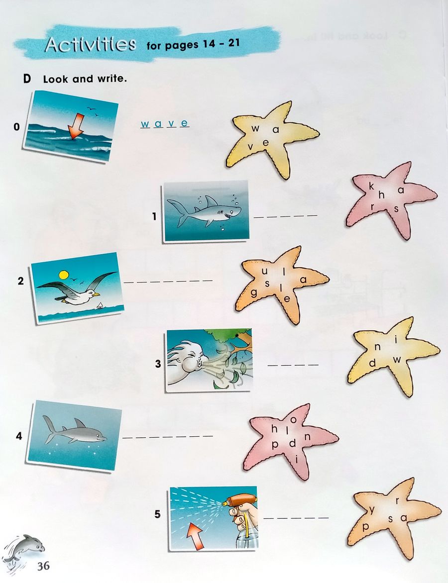 Storytime 1 Anna and The Dolphin with Application