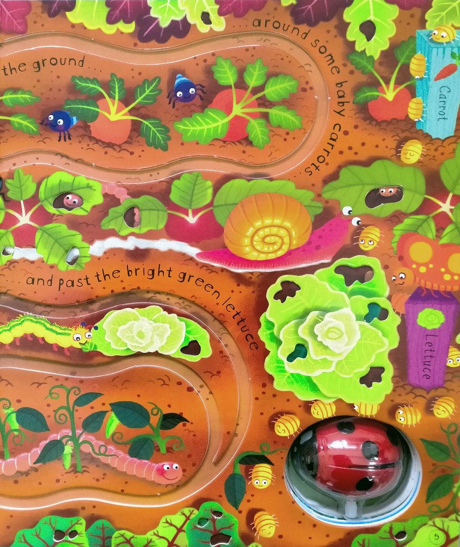 Usborne Wind-Up Ladybird