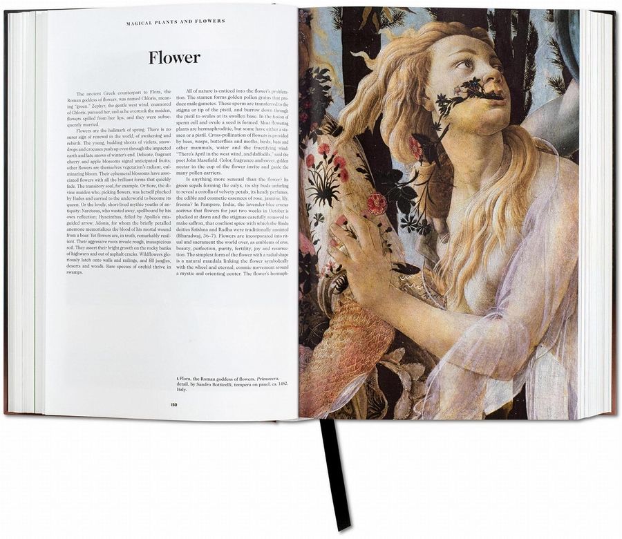 The Book of Symbols Reflections on Archetypal Images