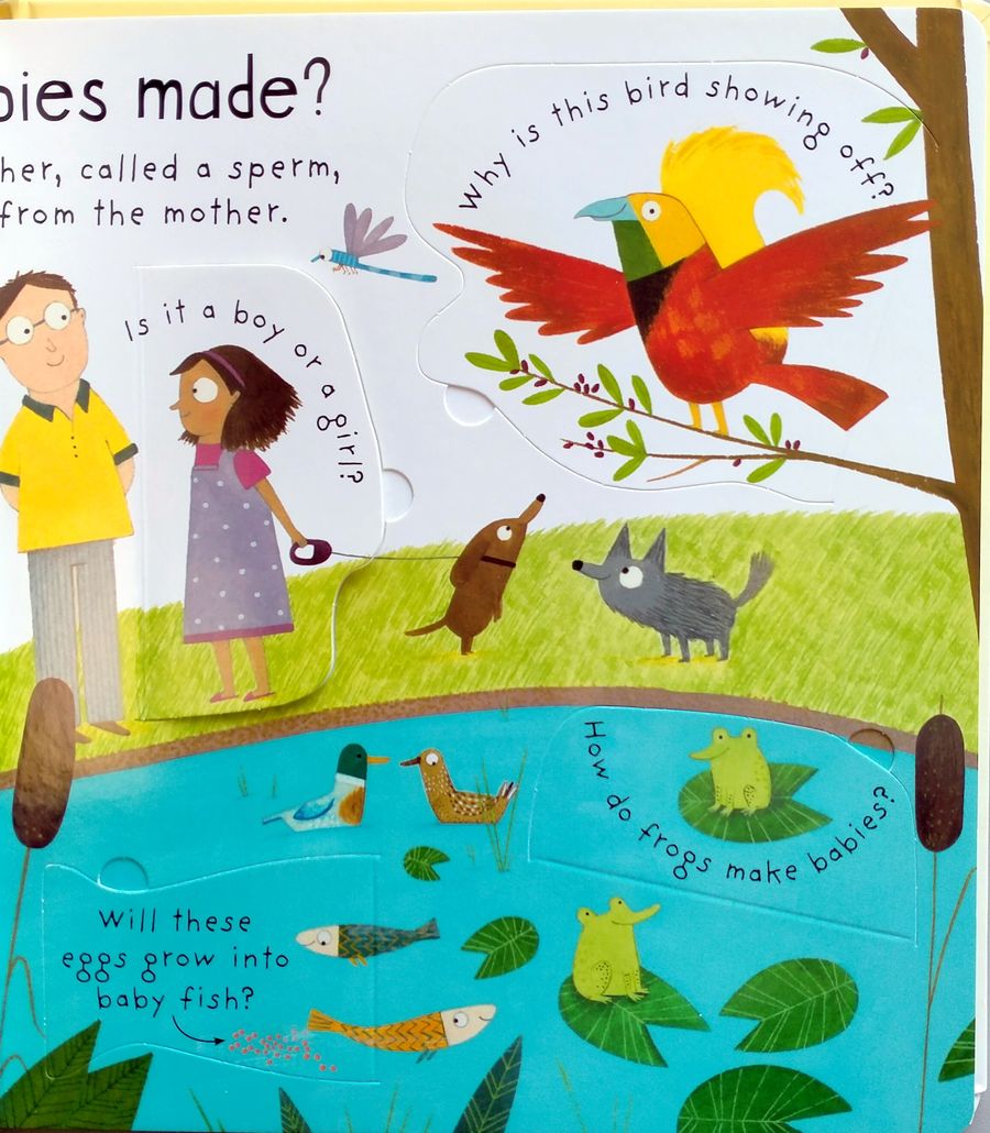 Lift-the-Flap First Questions and Answers Where Do Babies Come From