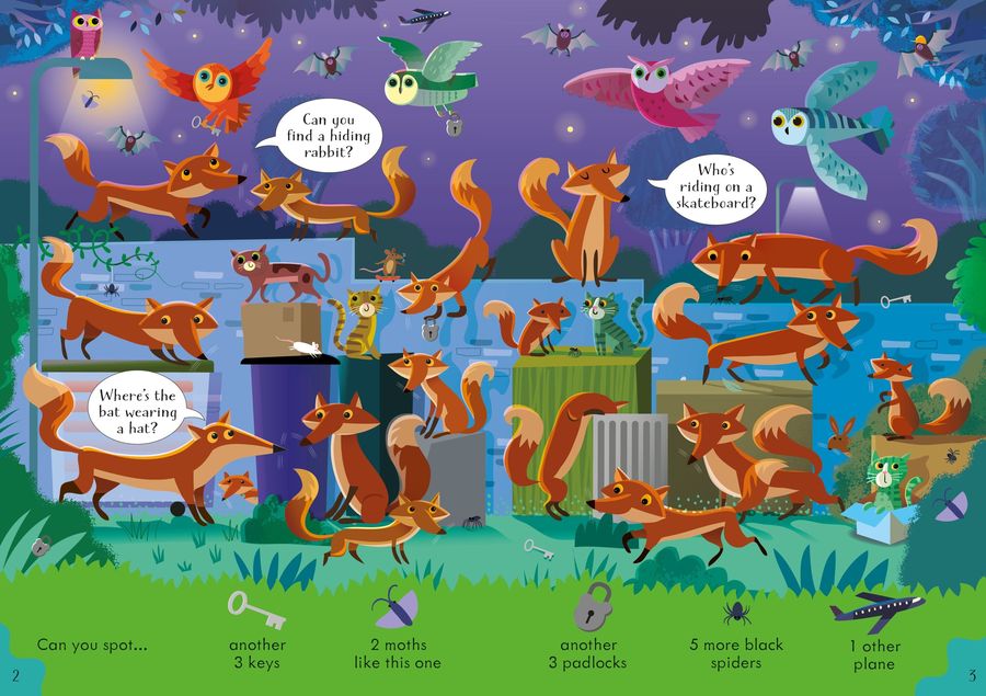 Usborne Can you Spot Night Time
