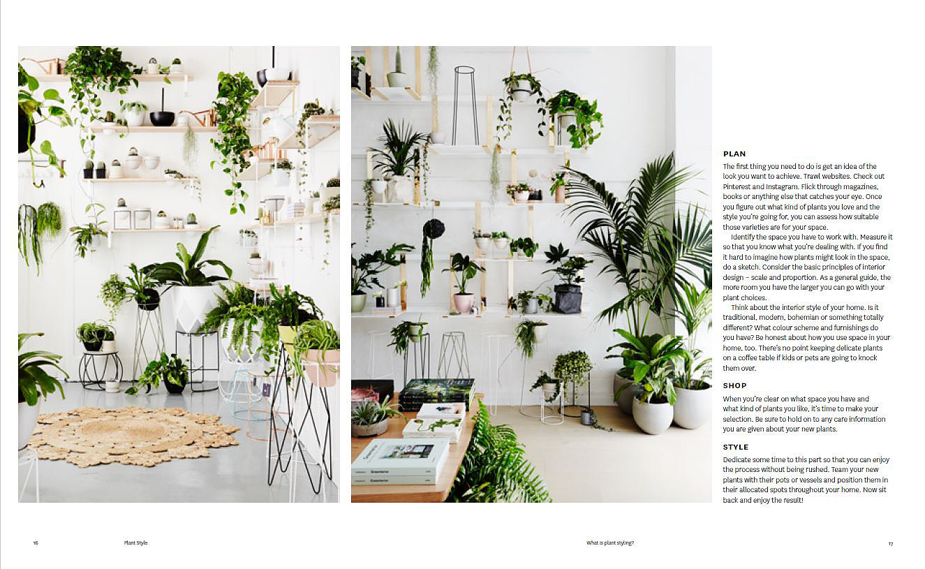 Plant Style How to Greenify Your Space