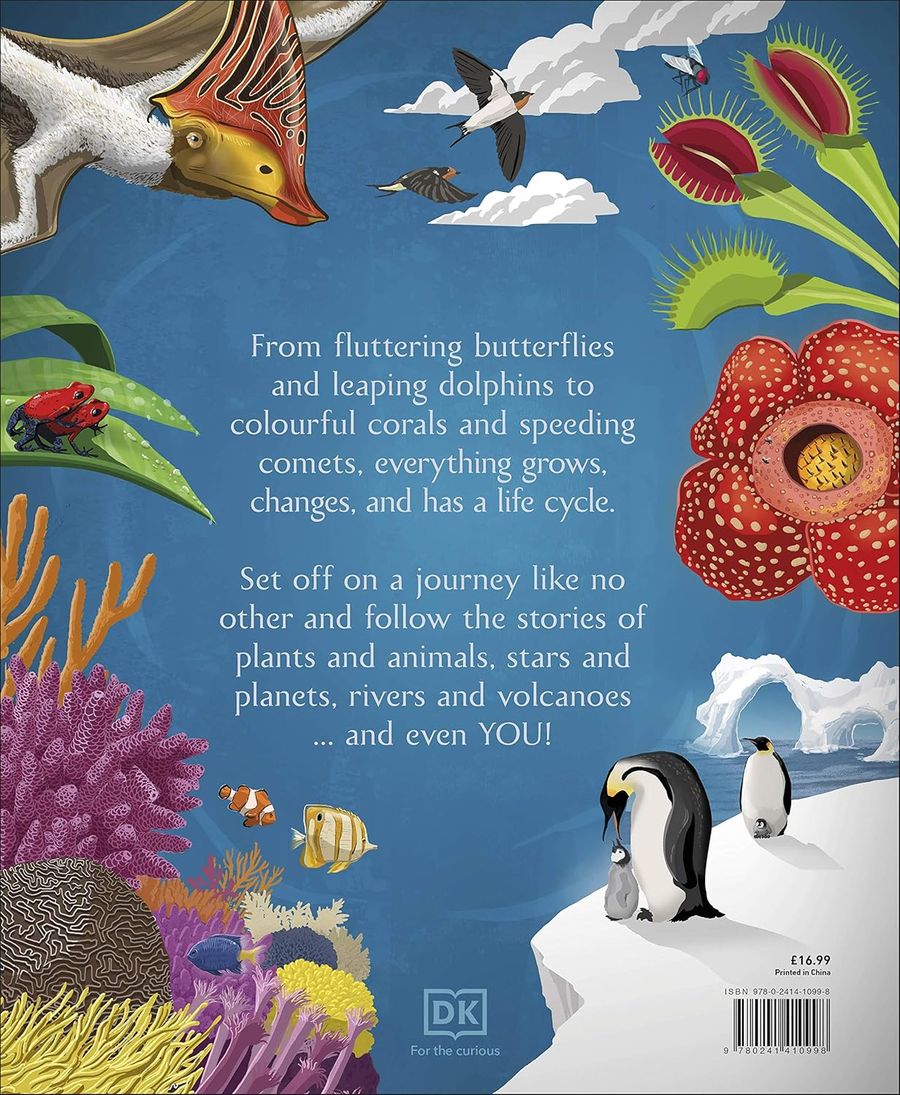 Life Cycles Everything from Start to Finish