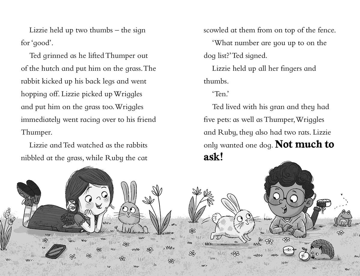 Lizzie and Lucky: The Mystery of the Missing Puppies