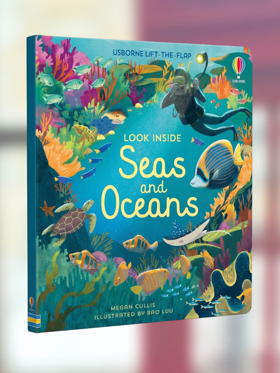 Usborne Look Inside Seas and Oceans