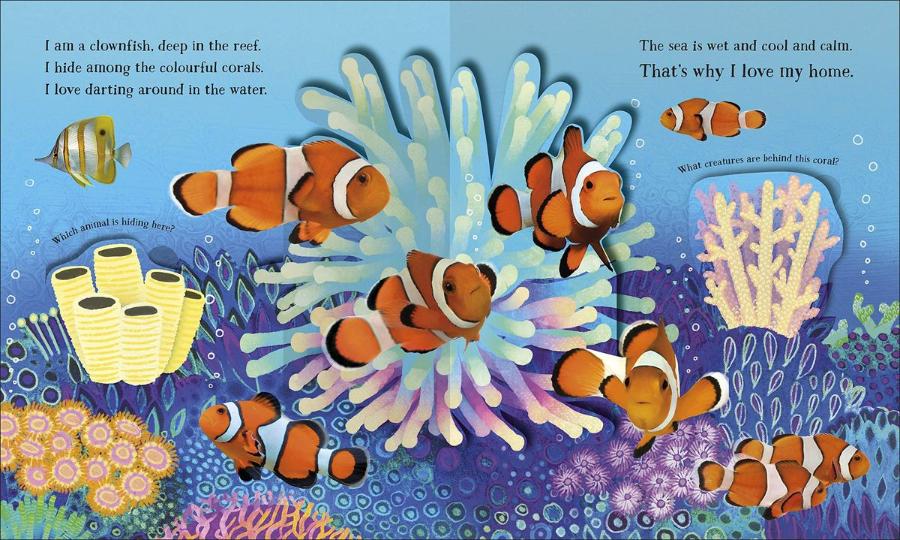 I Love My Home A Pop-Up Book