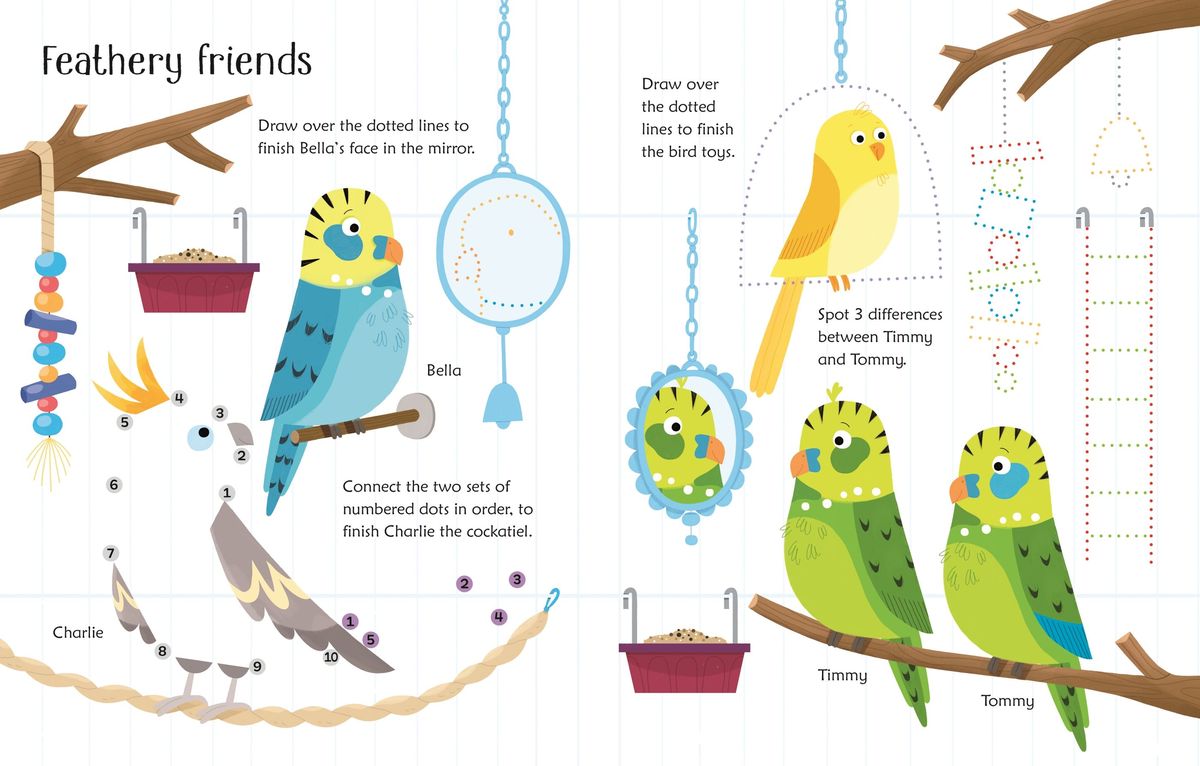 Usborne Wipe-Clean Pet Activities