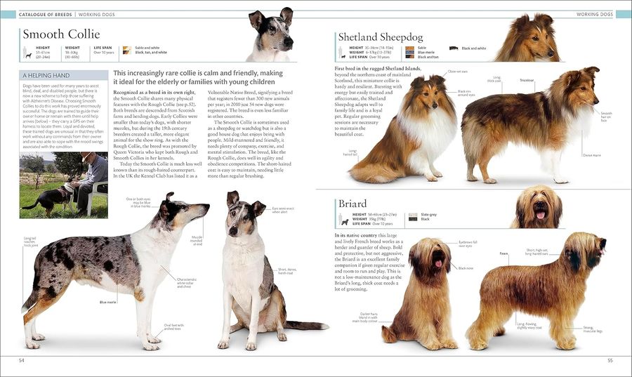 The Dog Encyclopedia The Definitive Visual Guide