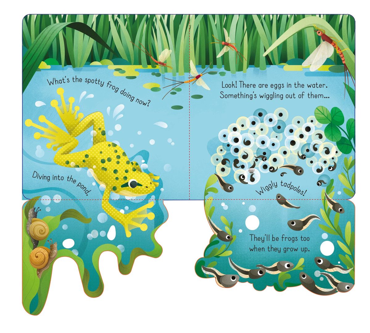 Usborne Little Lift and Look Spotty Frog