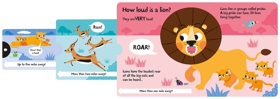 How Loud is a Lion?