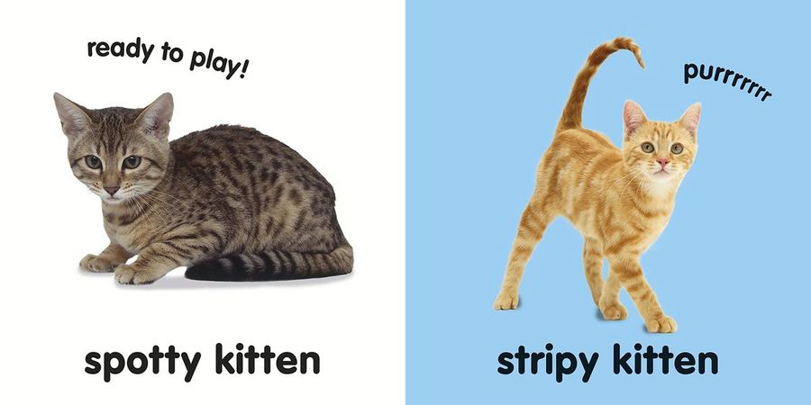 Baby Touch and Feel Kittens