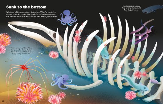 Usborne Big Sticker Book Weird Deep Sea Creatures