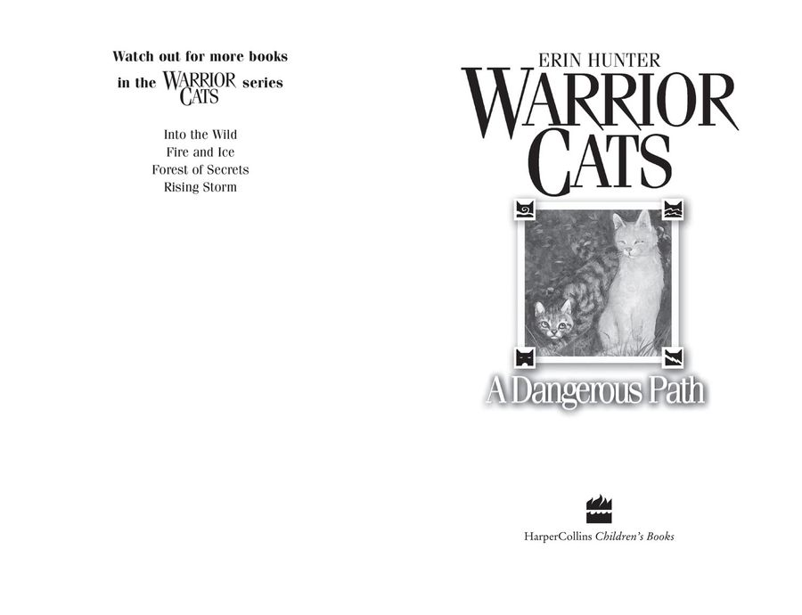 Warriors 5 A Dangerous Path