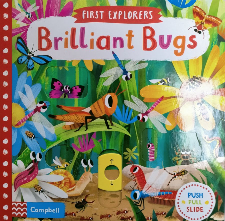 First Explorers: Brilliant Bugs