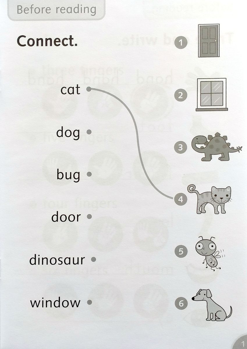 Dolphin Readers 1 Meet Molly Activity Book