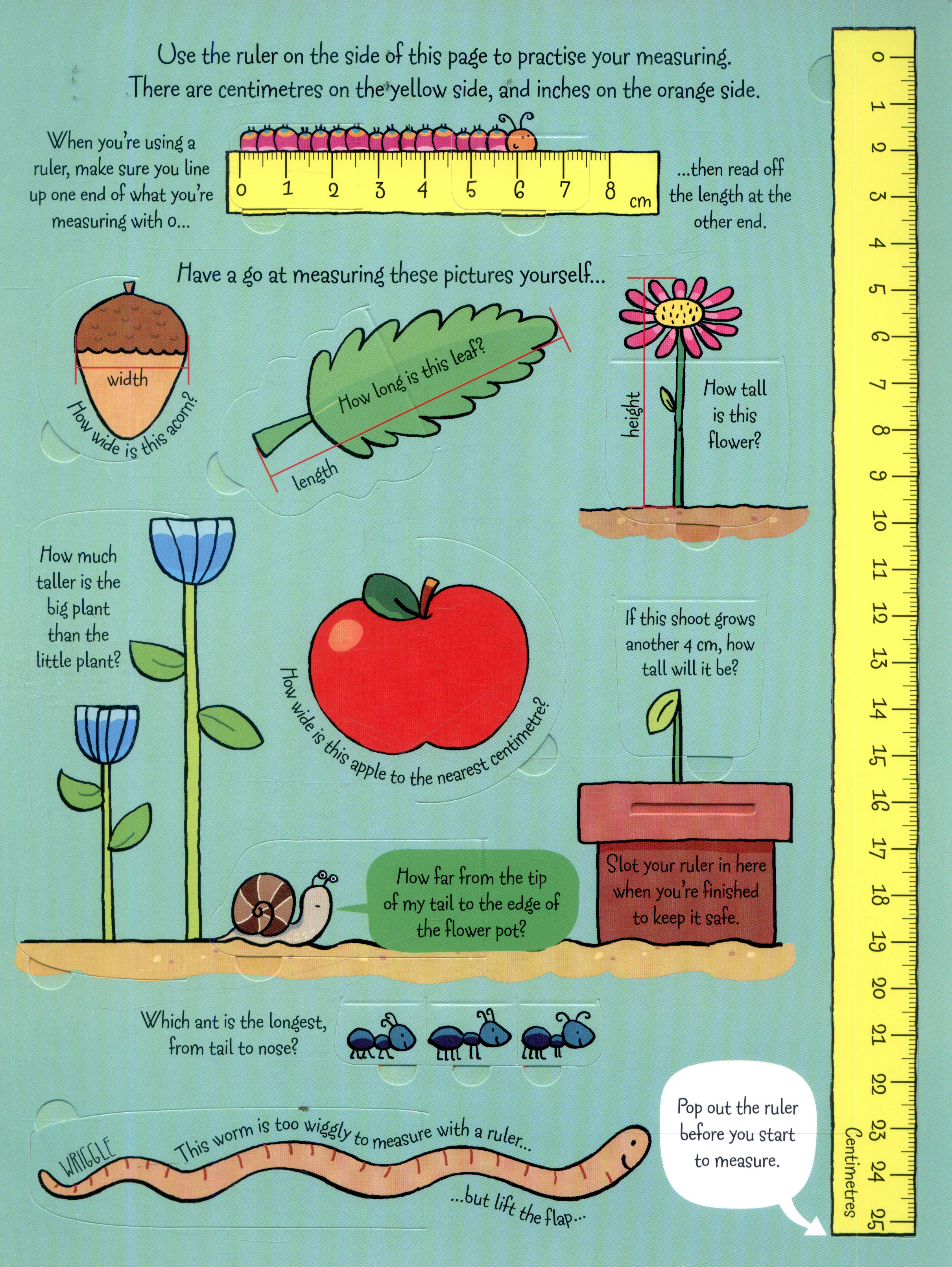 Lift-the-Flap Measuring Things