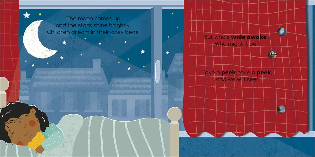 Flip Flap Find! Night-Time Animals