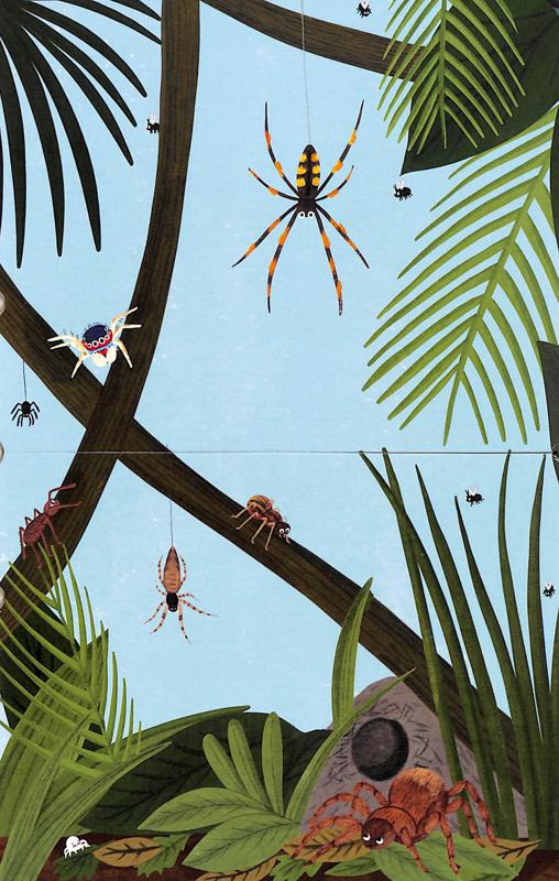 Bees & Beetles A Flip-Flap Book of Bugs