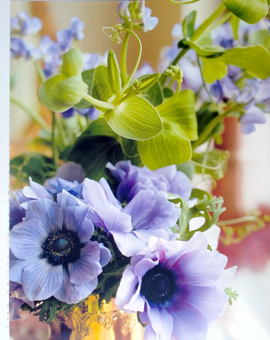 Aerin Lauder Living with Flowers
